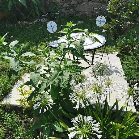 Casa Sao Pedro ... Belinho
